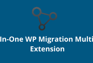 All In One WP Migration Multisite Extension GPL v4.65 [Pre-activated]